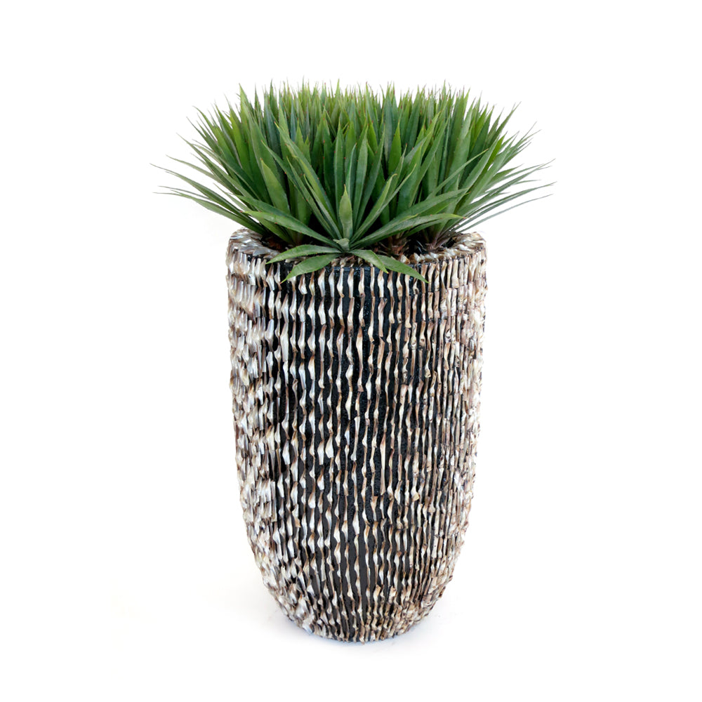 Plantscaping