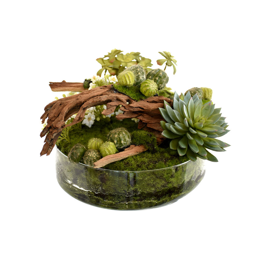 Moss & Succulent