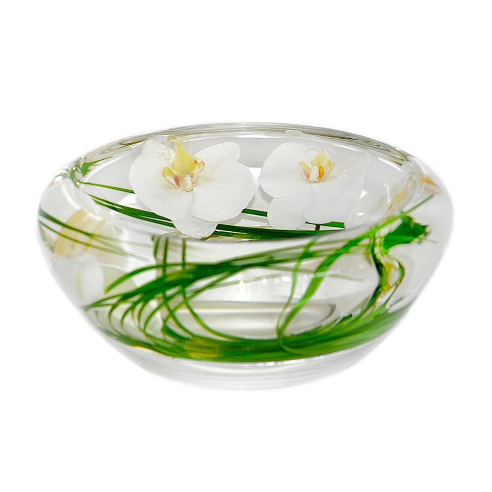 White Phalaenopsis Orchid Flower Bowl