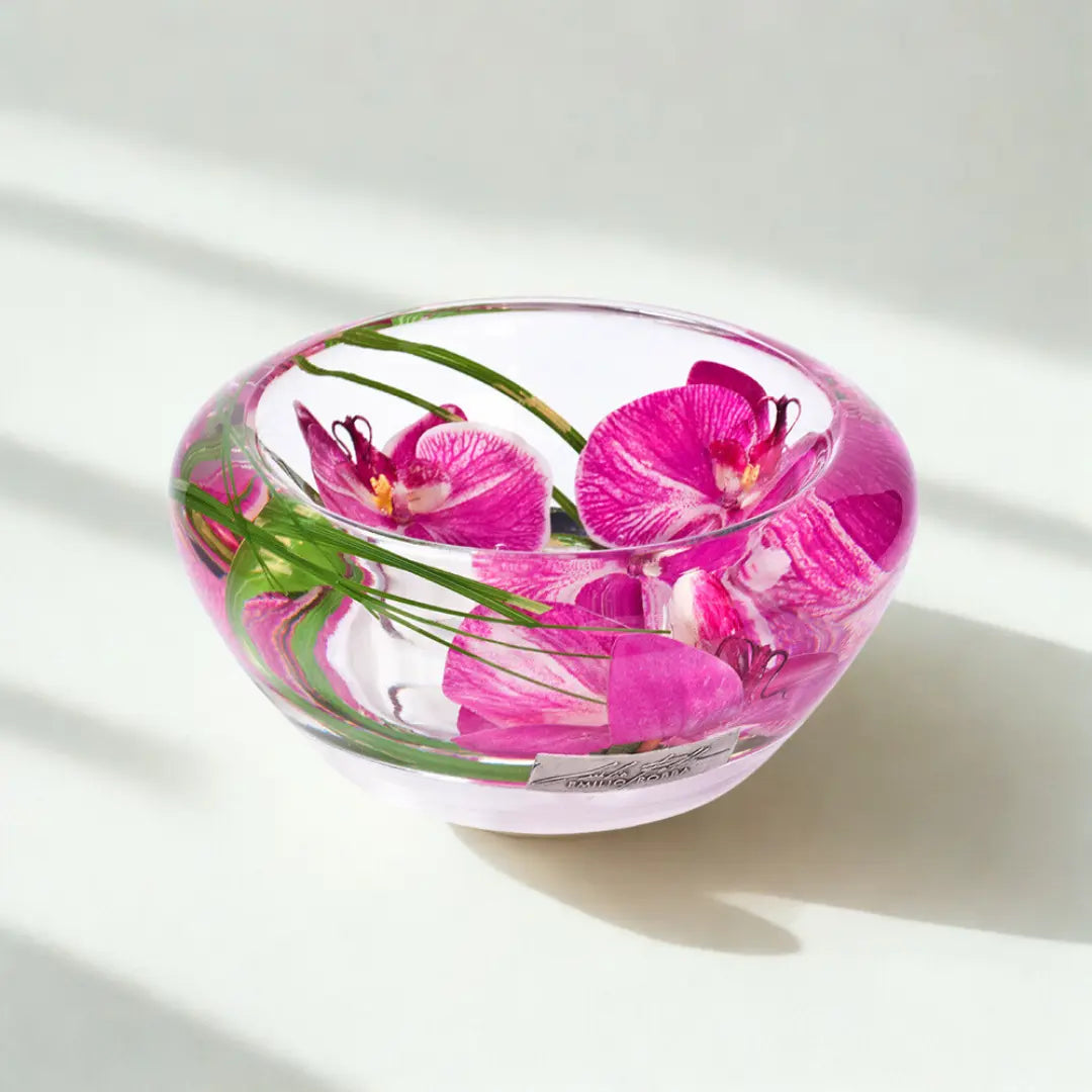 Fuchsia Phalaenopsis Flower Bowl