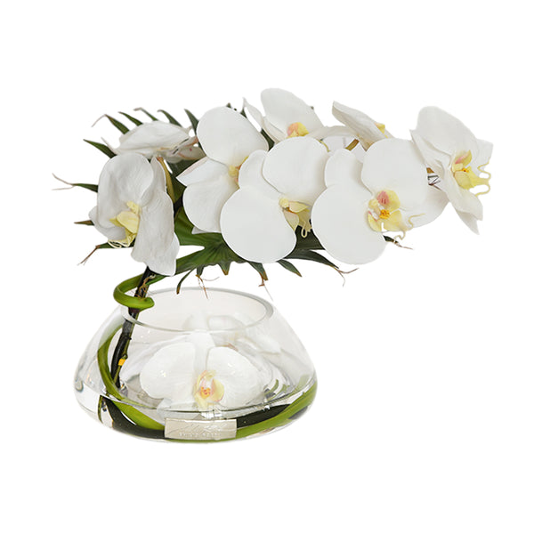 White Phalaenopsis & Palm in Small Reversed Bowl