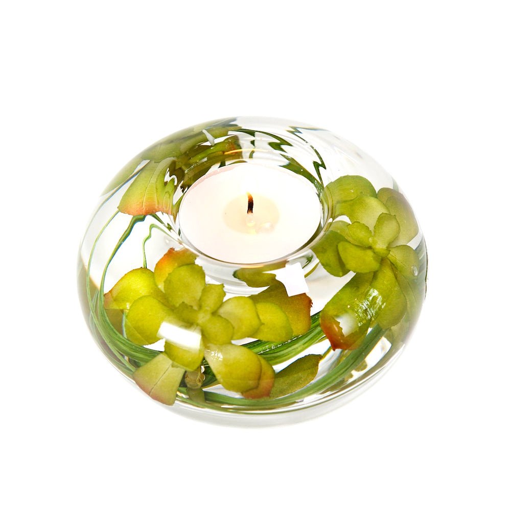 succulent tea lights Green Phalaenopsis Orchid T-Light Candle Holder Medium T-Light