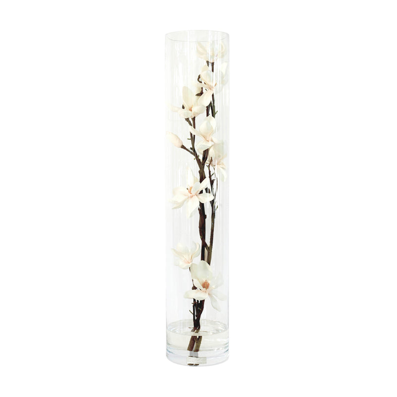 Champagne Magnolia Flowers in Tube Vase • 3 sizes