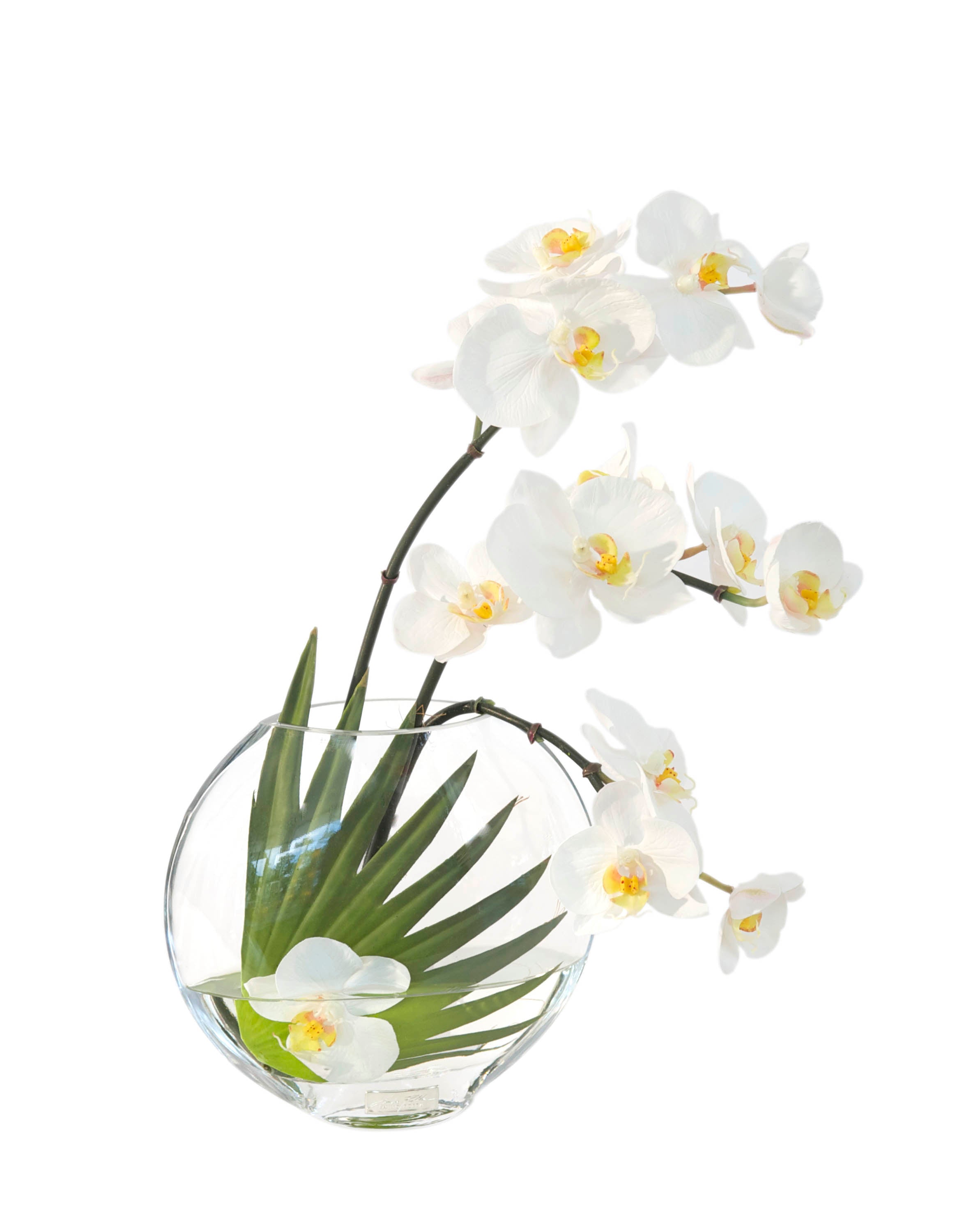 White Phalaenopsis & Palm 6.5" Moon Vase