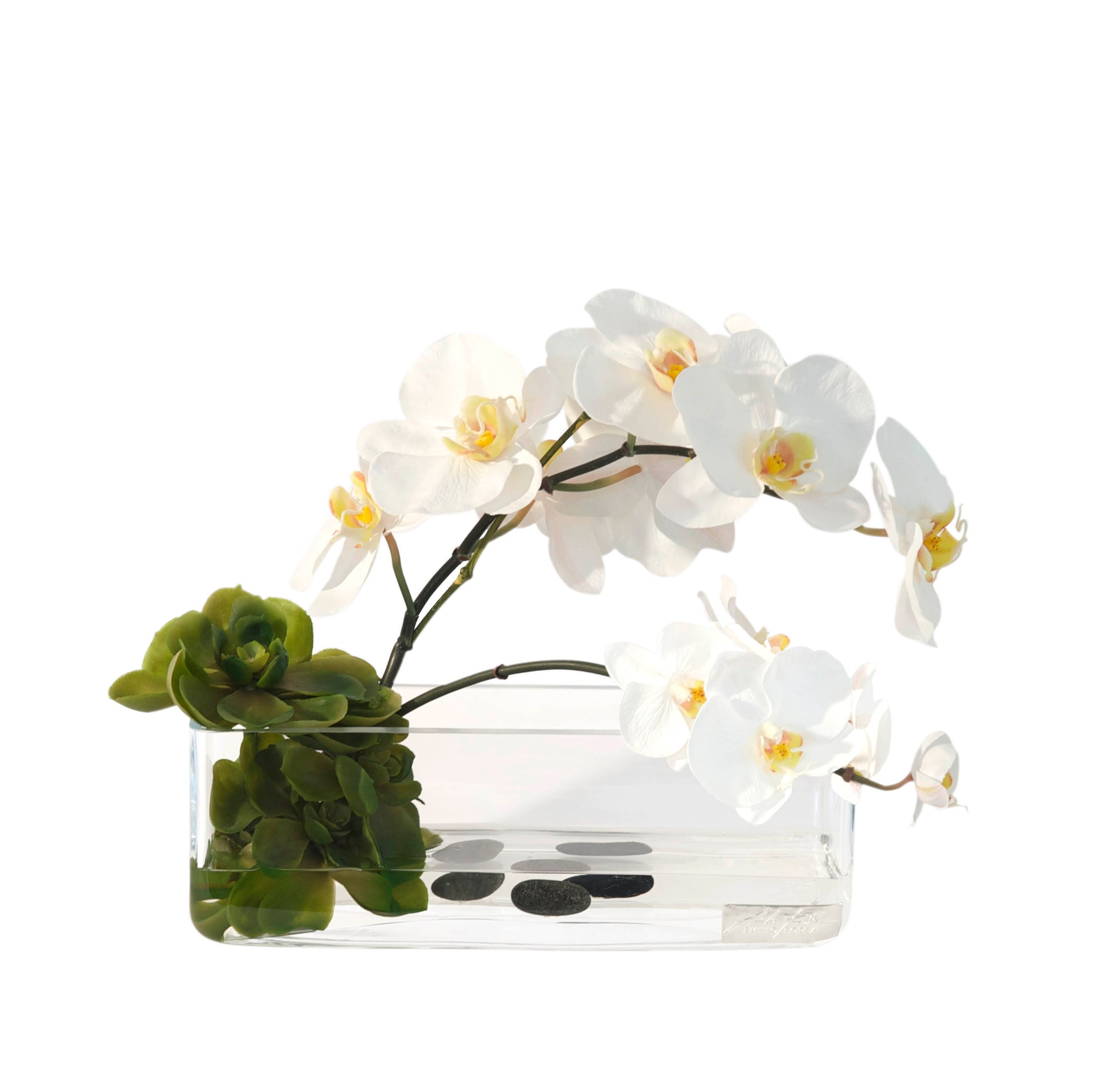 white succulent vase White Orchid & Succulents 12" Rectangle Vase
