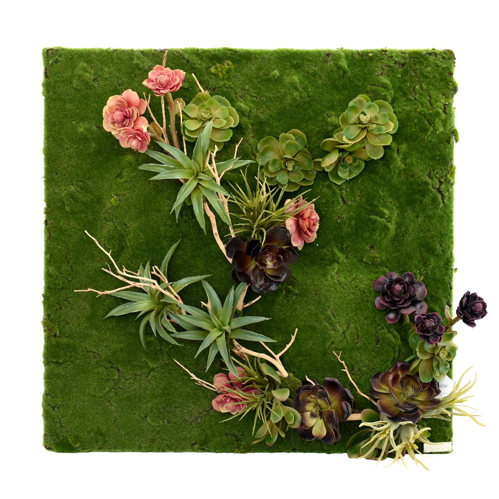 moss and succulent wall art Succulent Garden Moss Panel 30" x 30"