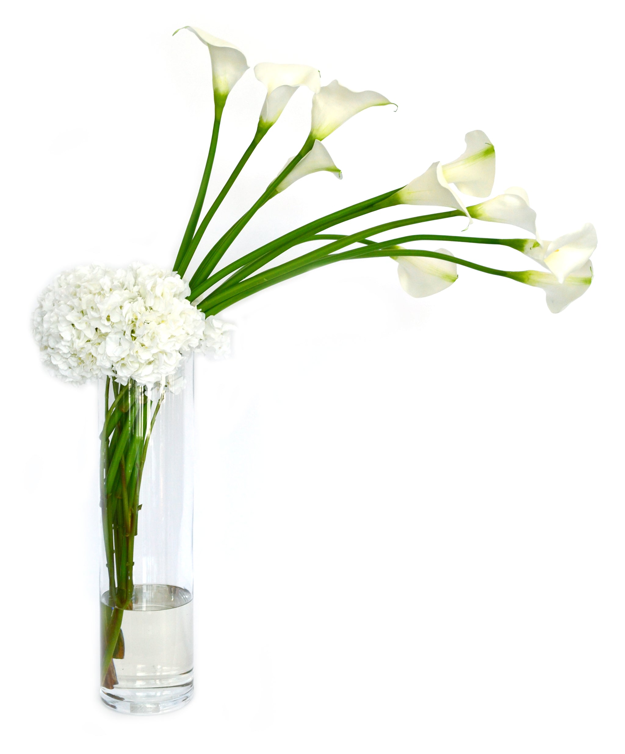 calla lily cut flower Calla Lily & Hydrangea 27" Cylinder