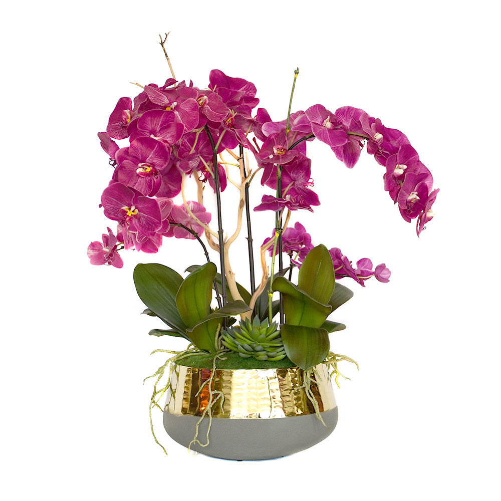 Fuchsia Phalaenopsis Orchid with Driftwood & Succulent Garden in Gold  Glazed Concrete Planter