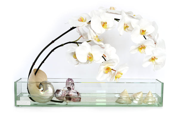 White Phalaenopsis & Seashells 24" Glass Plate Planter