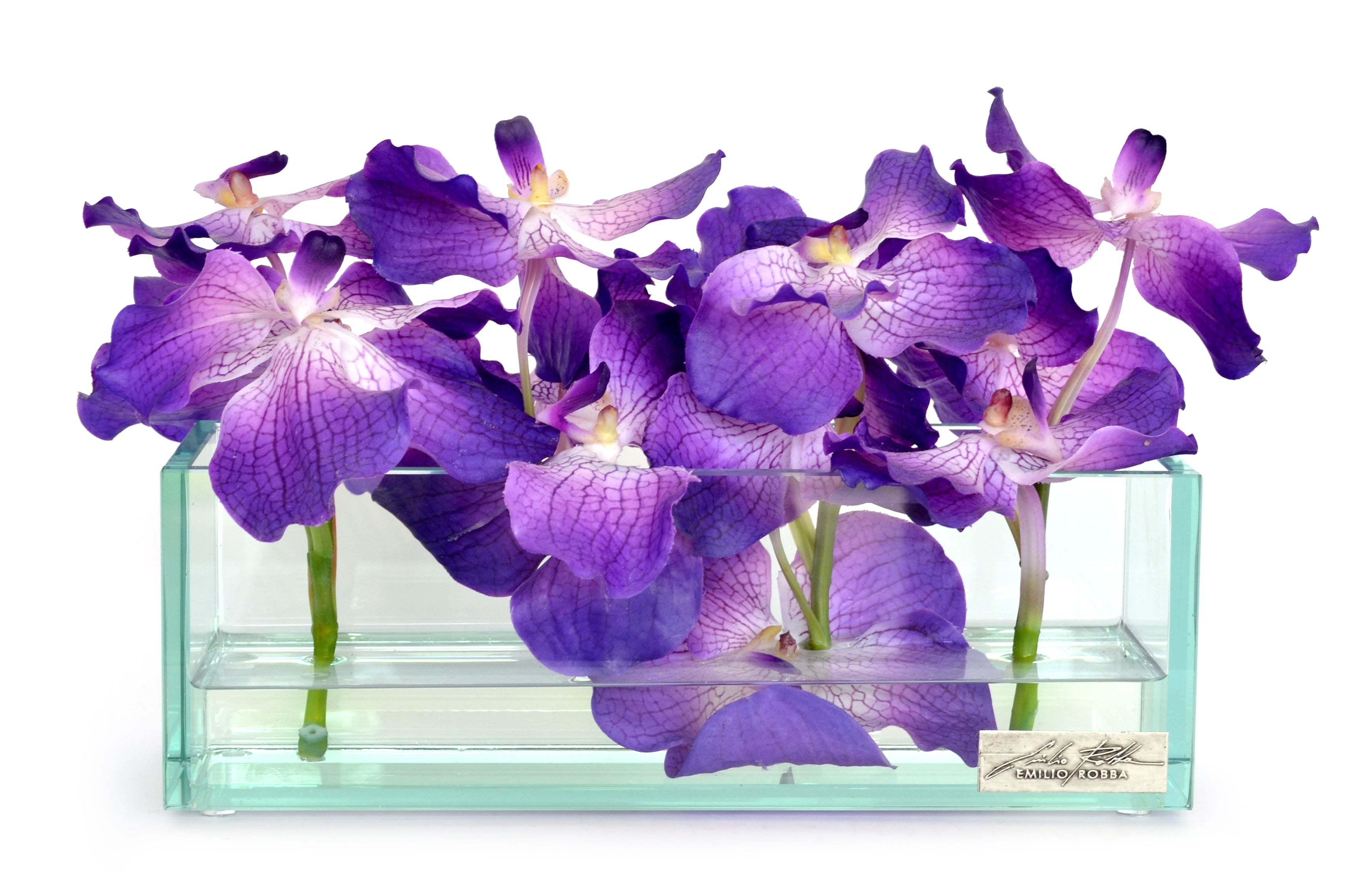 Purple Vanda 12" Plate Glass Planter