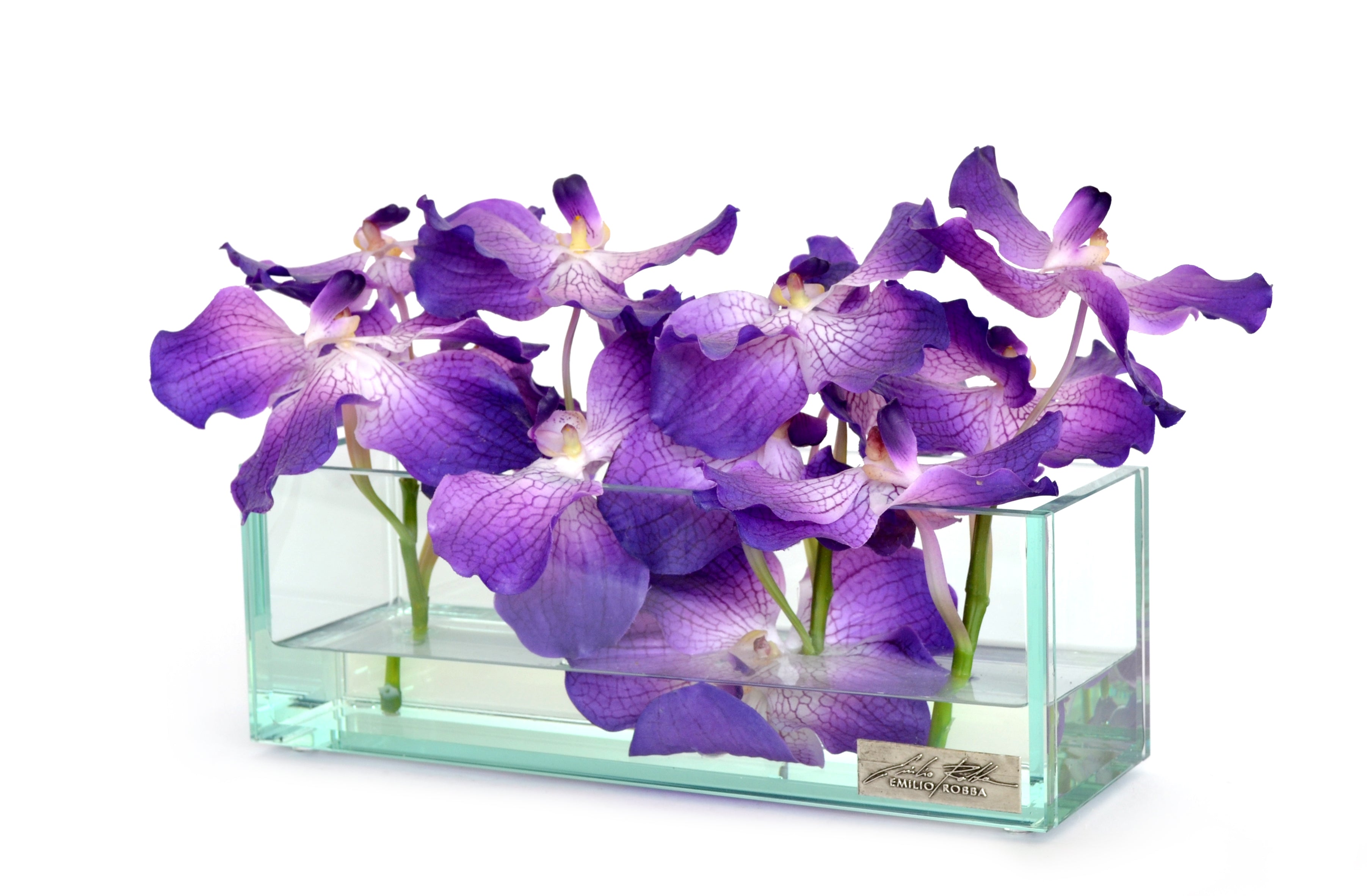 Purple Vanda 12" Plate Glass Planter