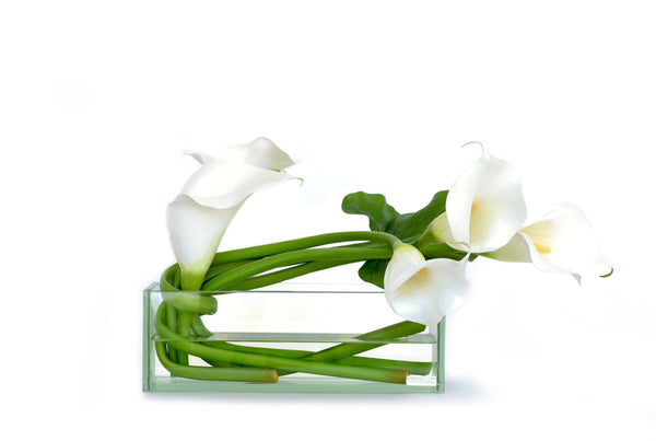 White Calla Lily 12" Glass Plate Planter