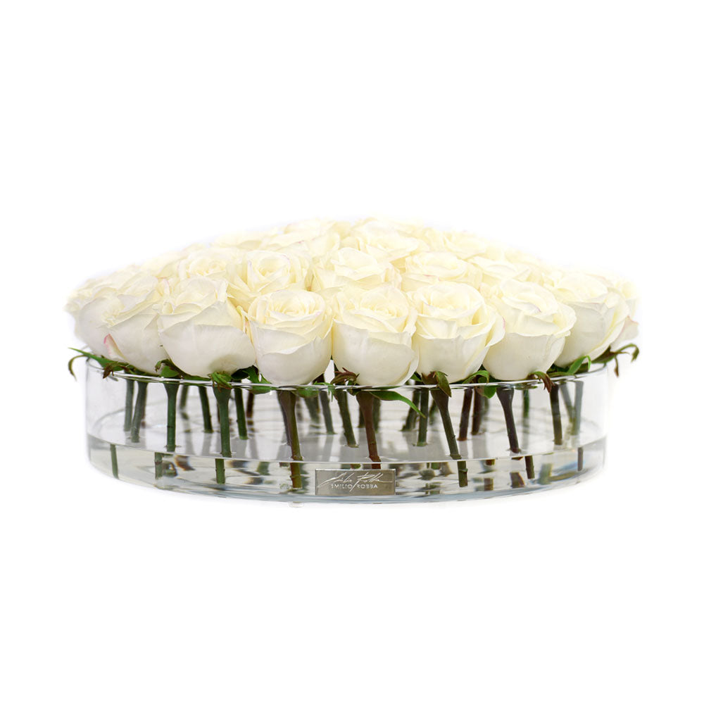 White Rose in Heritage Bowl