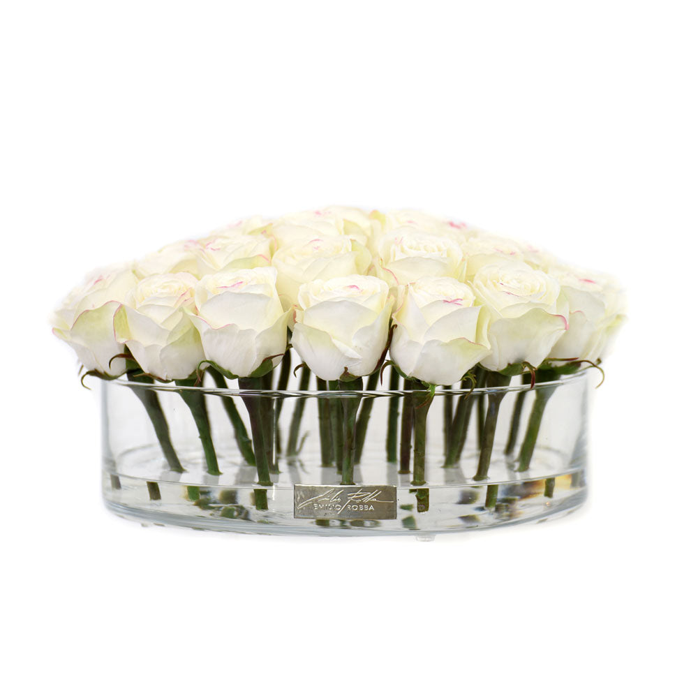 White Rose in Heritage Bowl