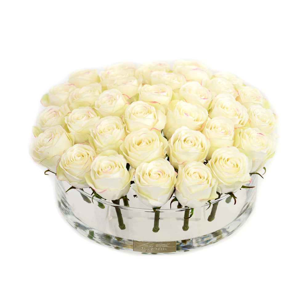 White Rose in Heritage Bowl