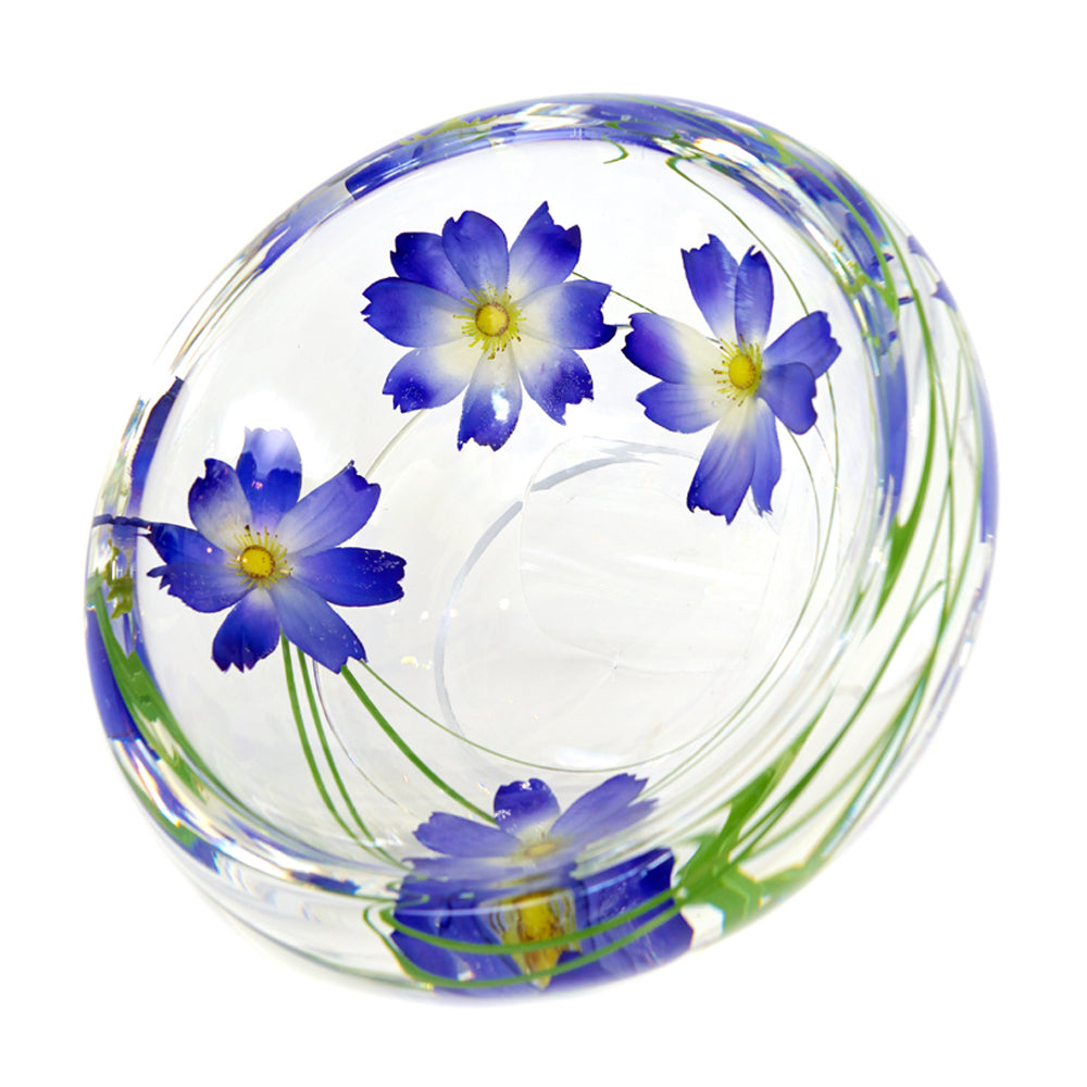 Floral Accent - Cosmo