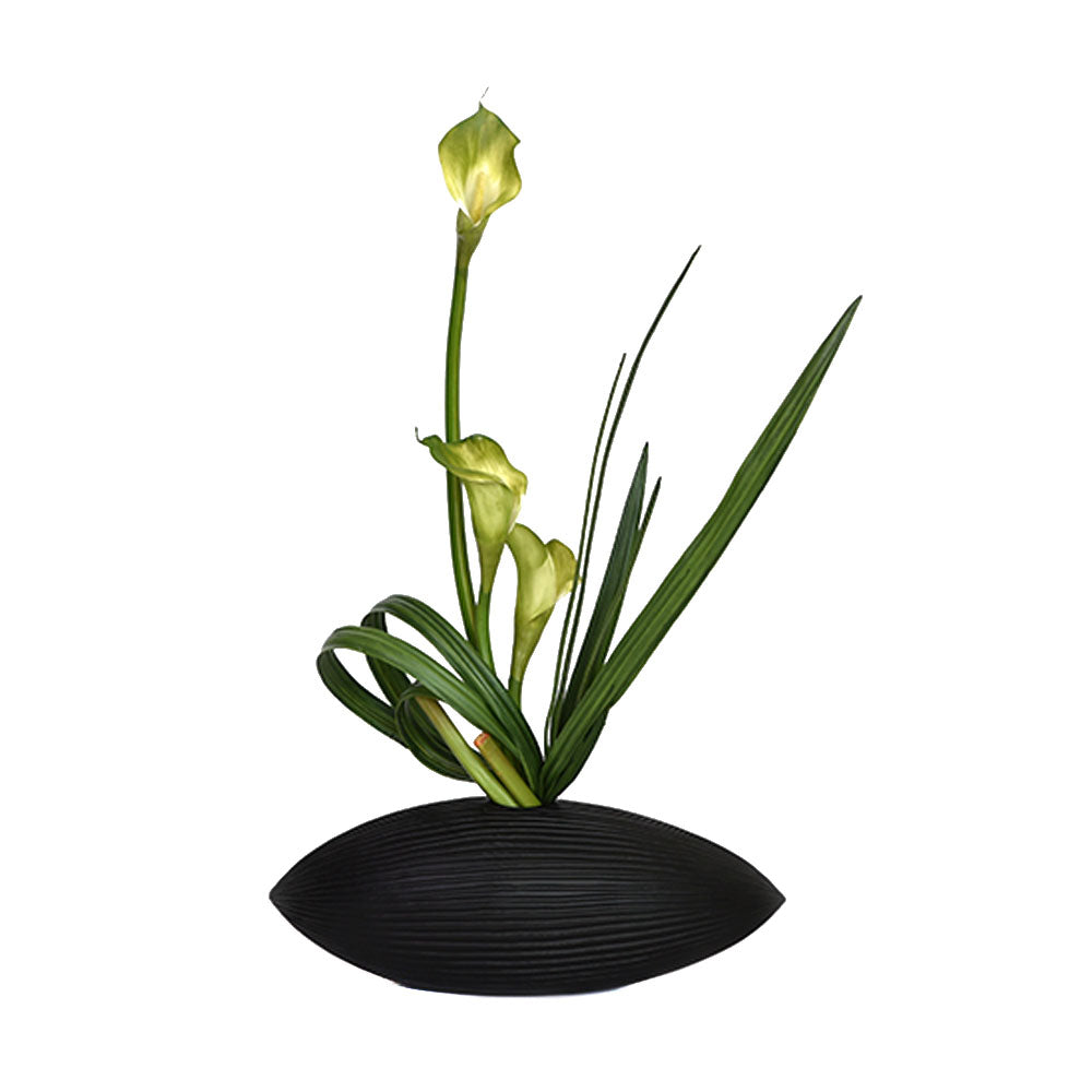 Calla Lily