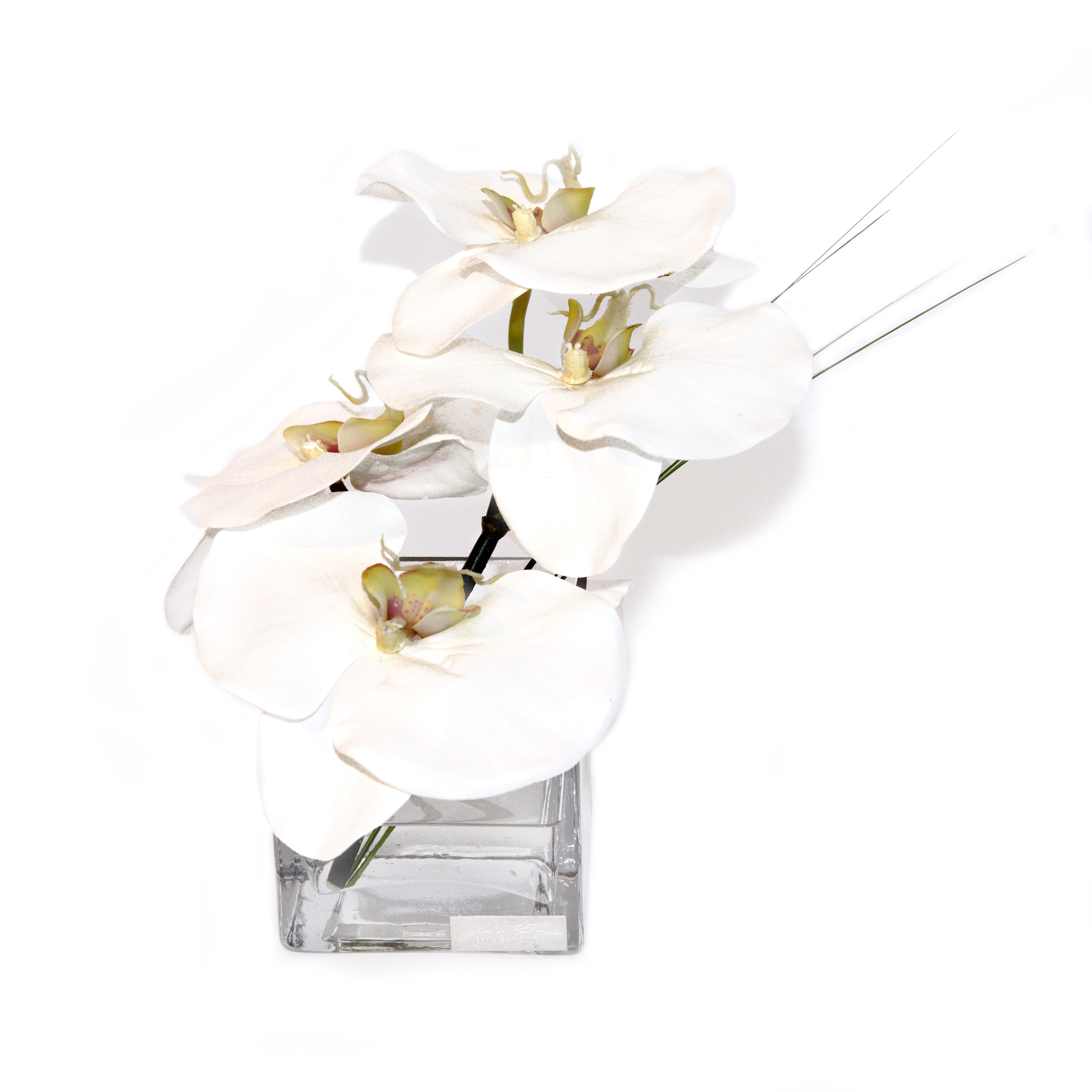 White Phalaenopsis Square Vase with Grass