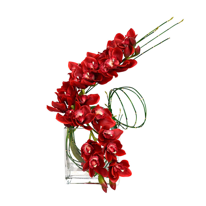 Red Cymbidium W/ Horsetail Bamboo Rectangular Vase 8"H