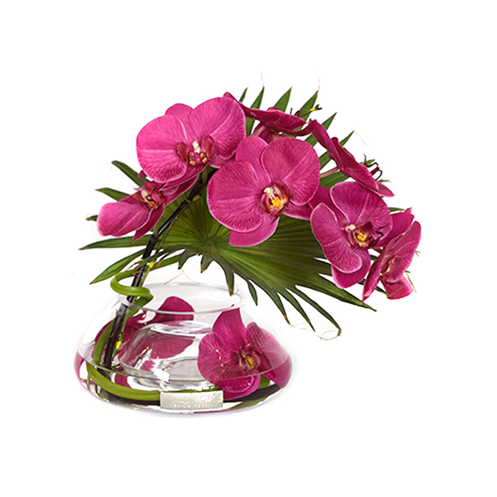 Fuchsia Phalaenopsis & Palm in Small Reversed Bowl