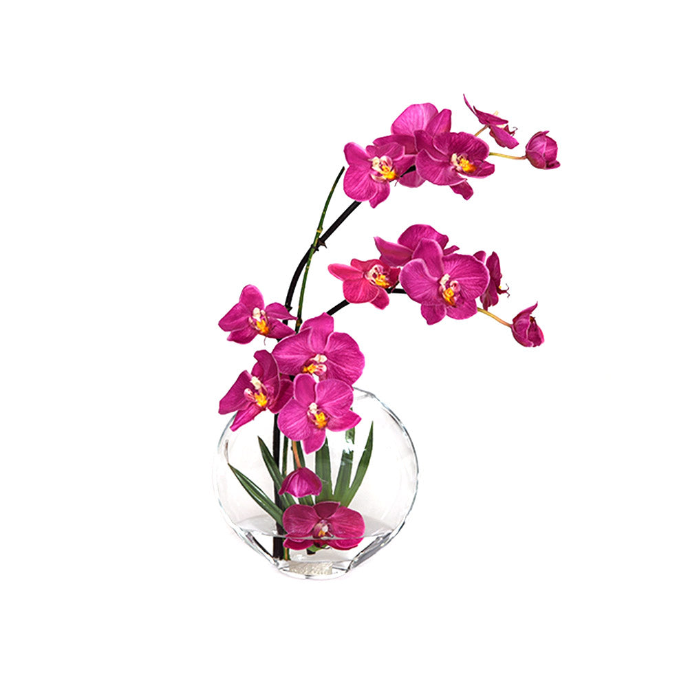 Fuchsia Phalaenopsis & Palm 6.5" Moon Vase