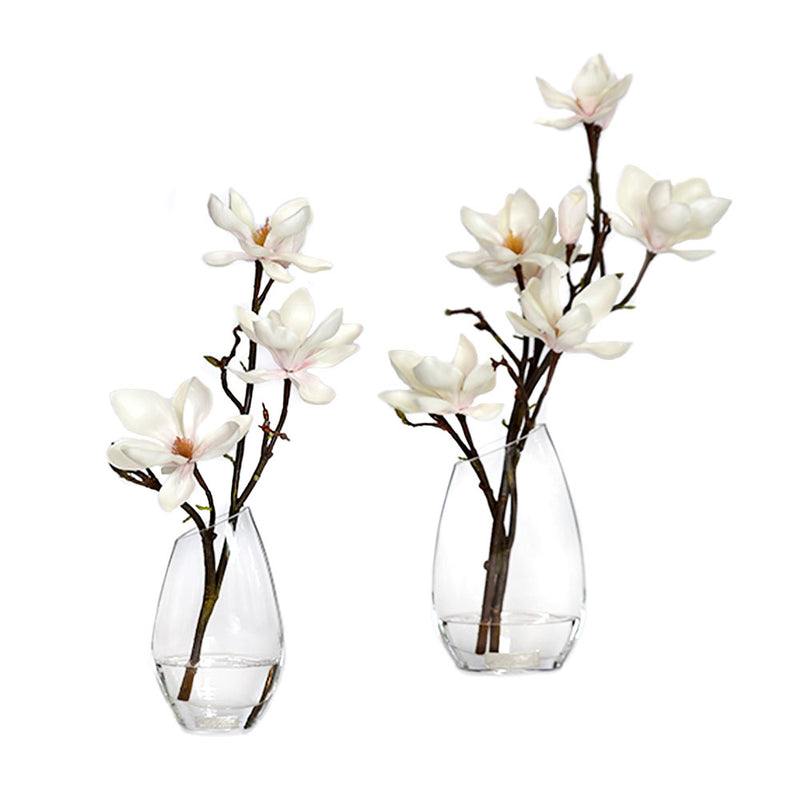Champagne magnolia Illusion Water Curve Vase • 2 Sizes (8"H & 10"H)