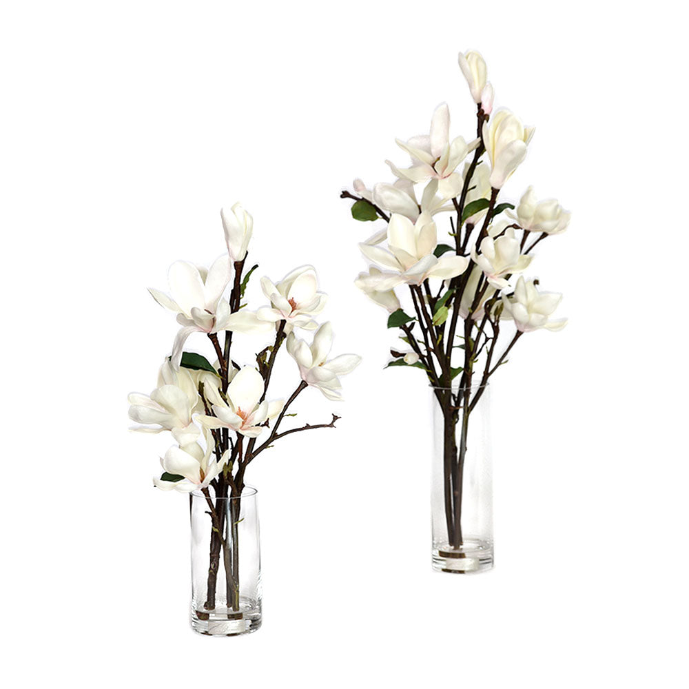 Champagne Magnolia Illusion Water Rota Vase • 3 Sizes (8"H, 12"H & 16"H)