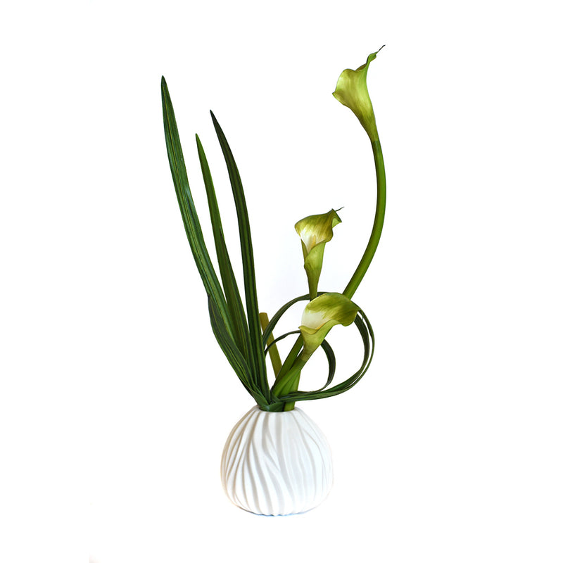 Green Calla Lily with Leaf In White Vase