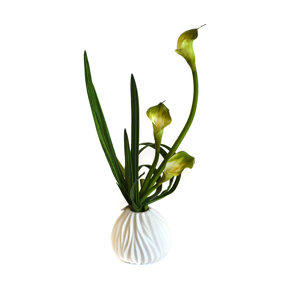 Green Calla Lily with Leaf In White Vase