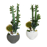 Cactus Garden in Concrete and Glass Moon Vase SM • 2 Color