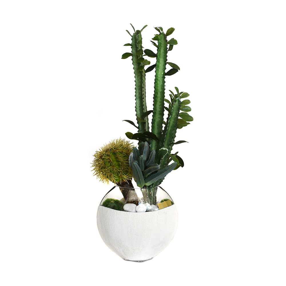 Cactus Garden in Concrete and Glass Moon Vase SM • 2 Color