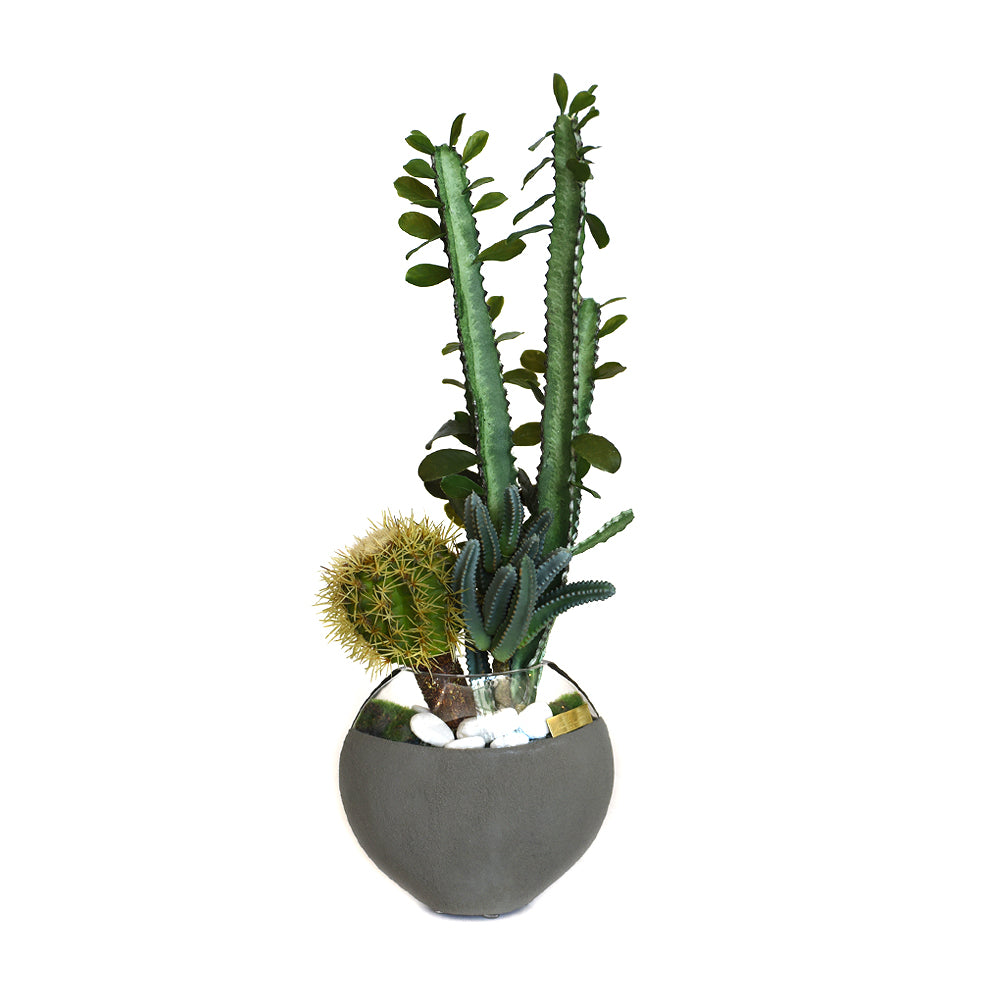 Cactus Garden in Concrete and Glass Moon Vase SM • 2 Color