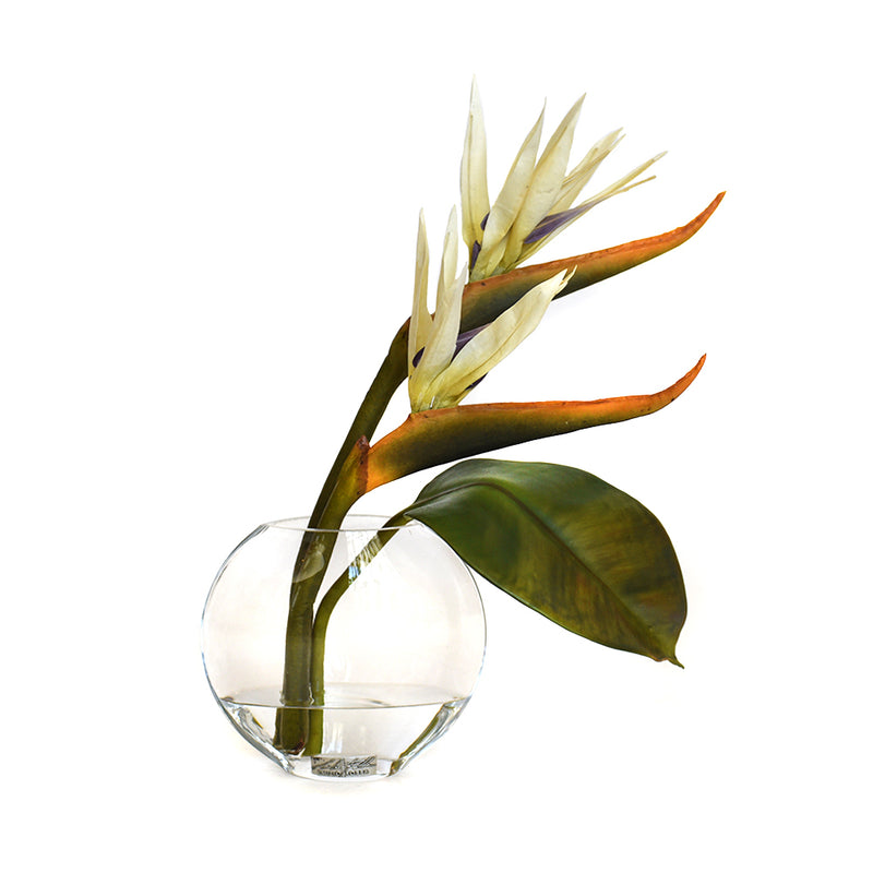 Bird of Paradise Tropical Composition In Moon Vase