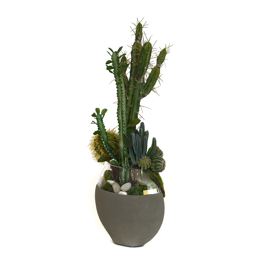 Cactus Garden in Concrete and Glass Moon Vase MD