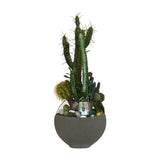 Cactus Garden in Concrete and Glass Moon Vase MD