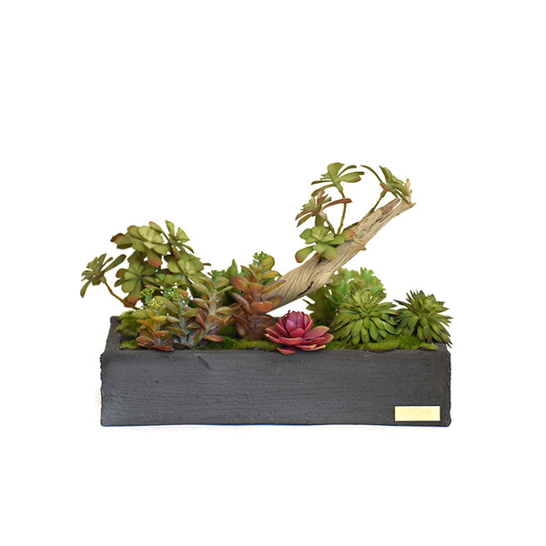 Succulent Garden with Wood in Gray Concrete Container