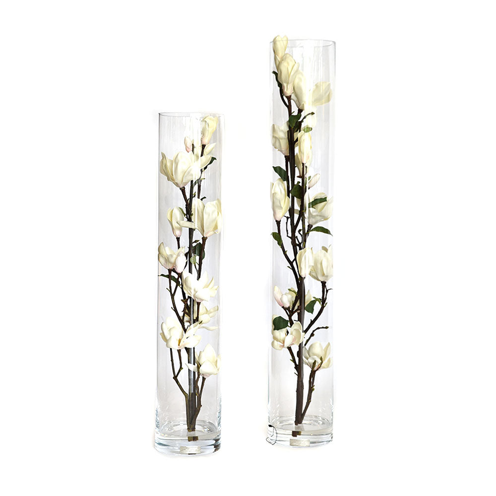 Champagne Magnolia Flowers in Tube Vase • 3 sizes