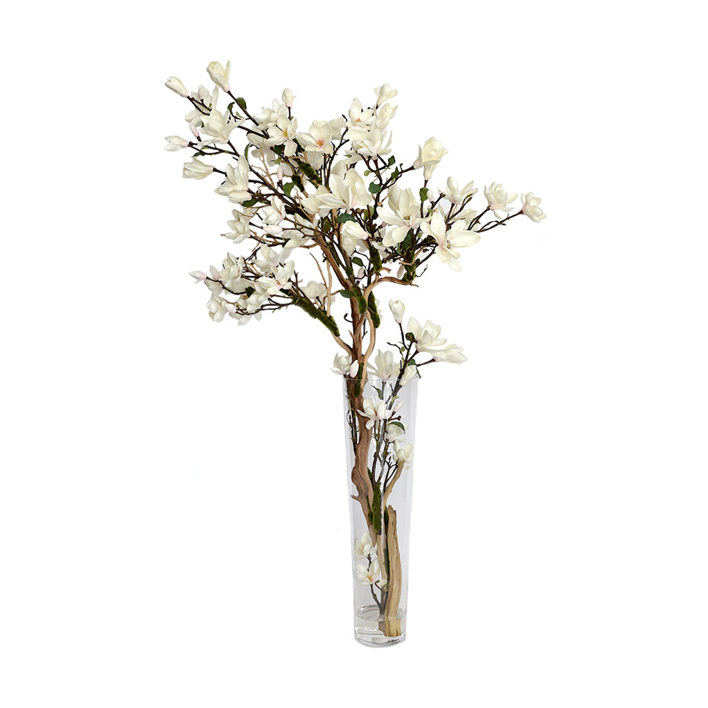 Champagne Magnolia Tree In Tapered Vase • 2 sizes