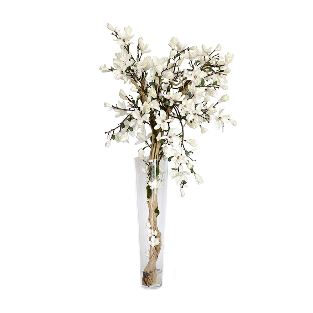 Champagne Magnolia Tree In Tapered Vase • 2 sizes