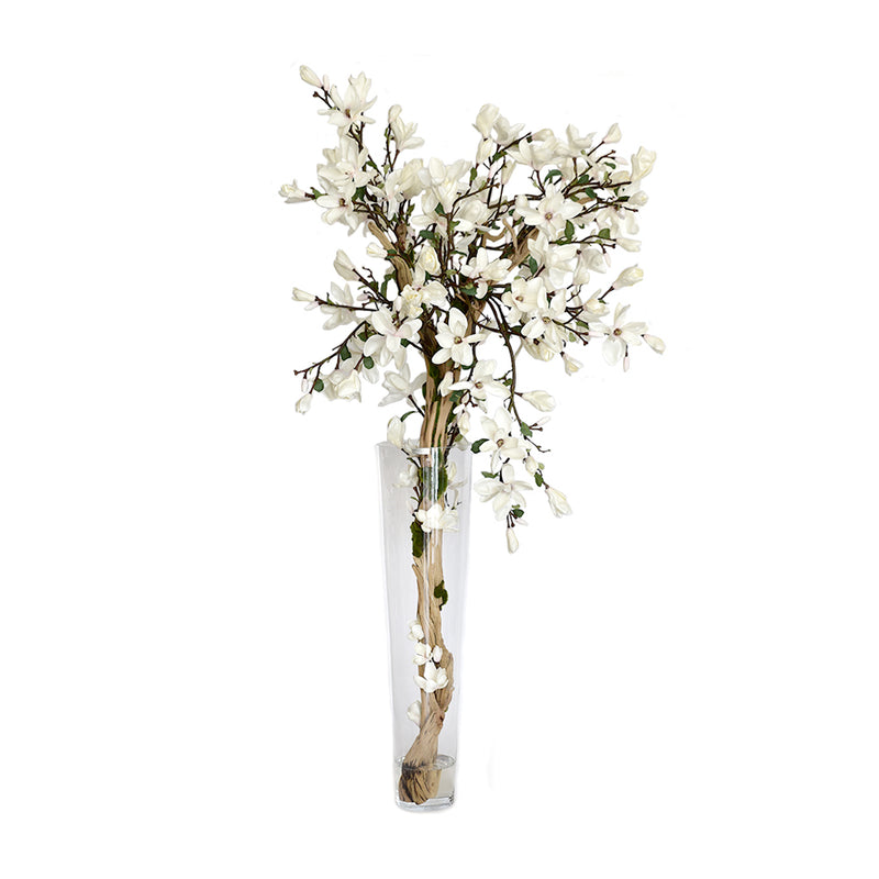 Champagne Magnolia Tree In Tapered Vase • 2 sizes