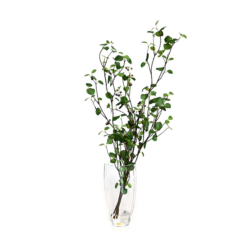 Green Leaf in Glass Vase • 2 sizes