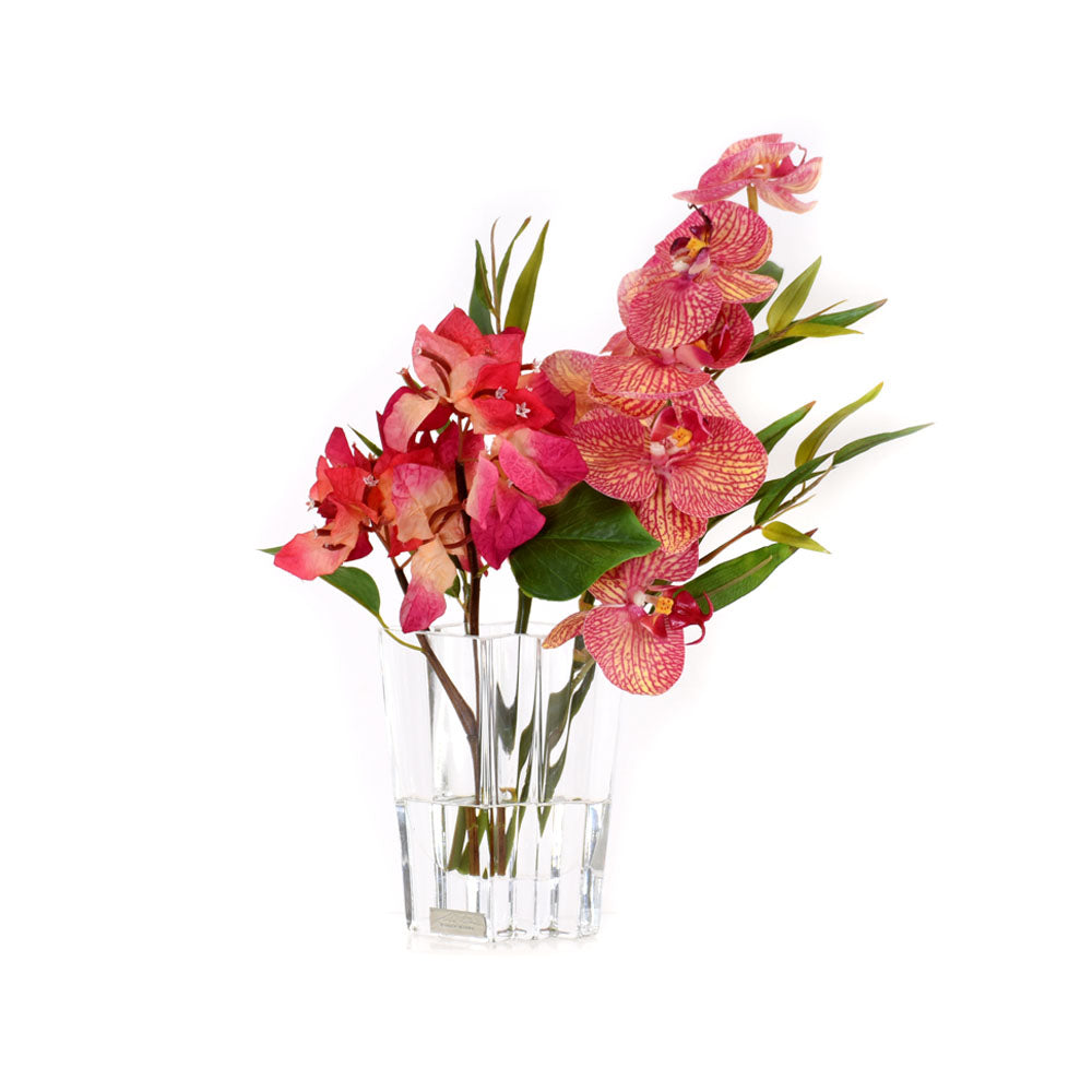 Fuchsia Bush Bougainvillea & Phala w/ Bamboo in 5"H Diamond Vase