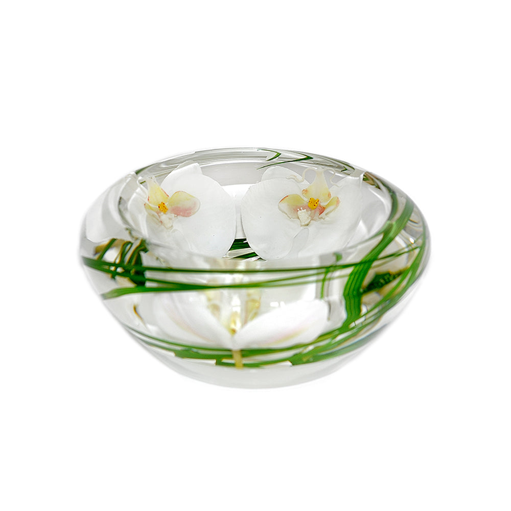 White Phalaenopsis Flower Bowl