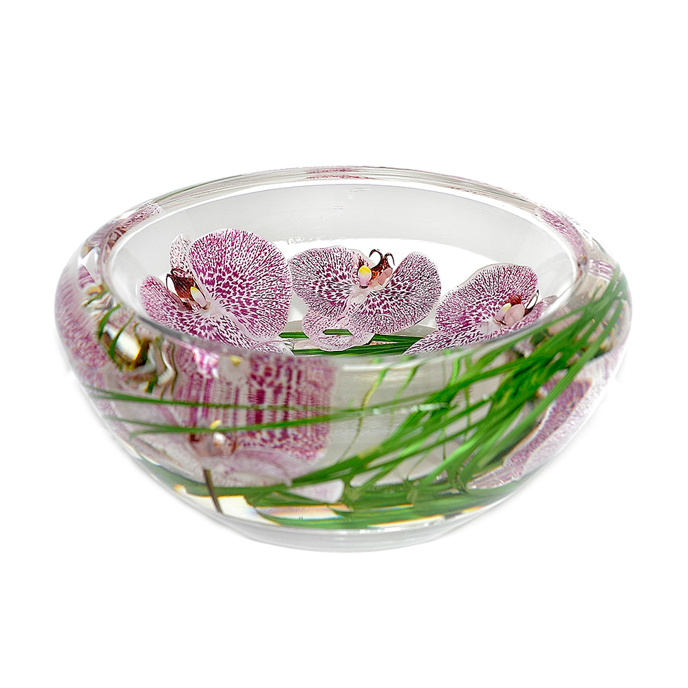 Spotted Phalaenopsis Flower Bowl