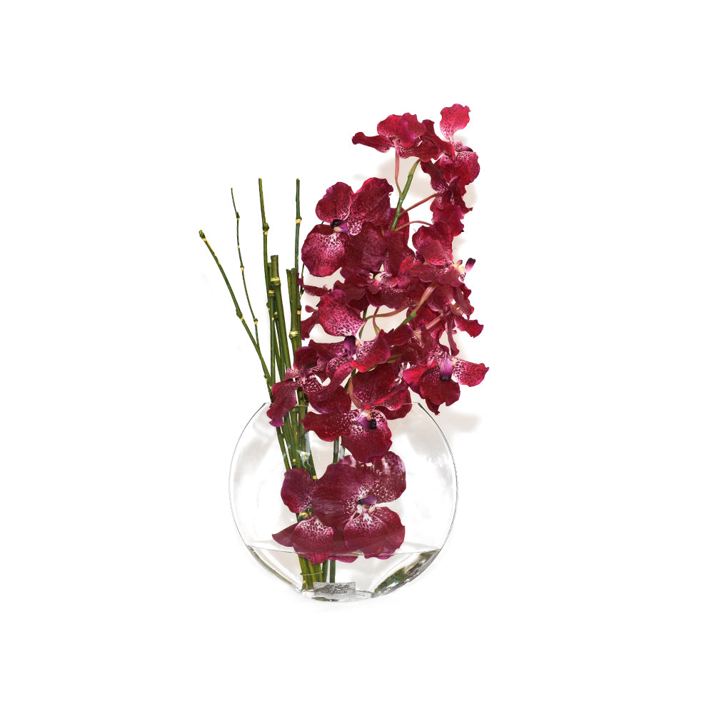 Magenta Vanda & Bamboo 10" Moon Vase