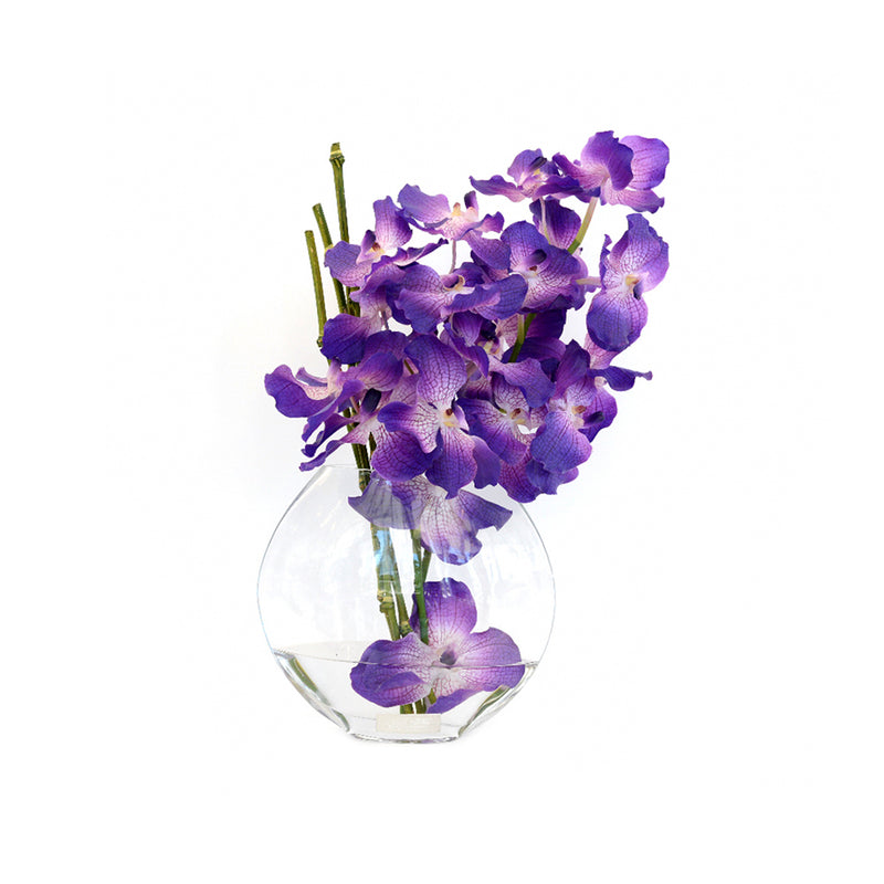 Purple Vanda in 10" Moon Vase