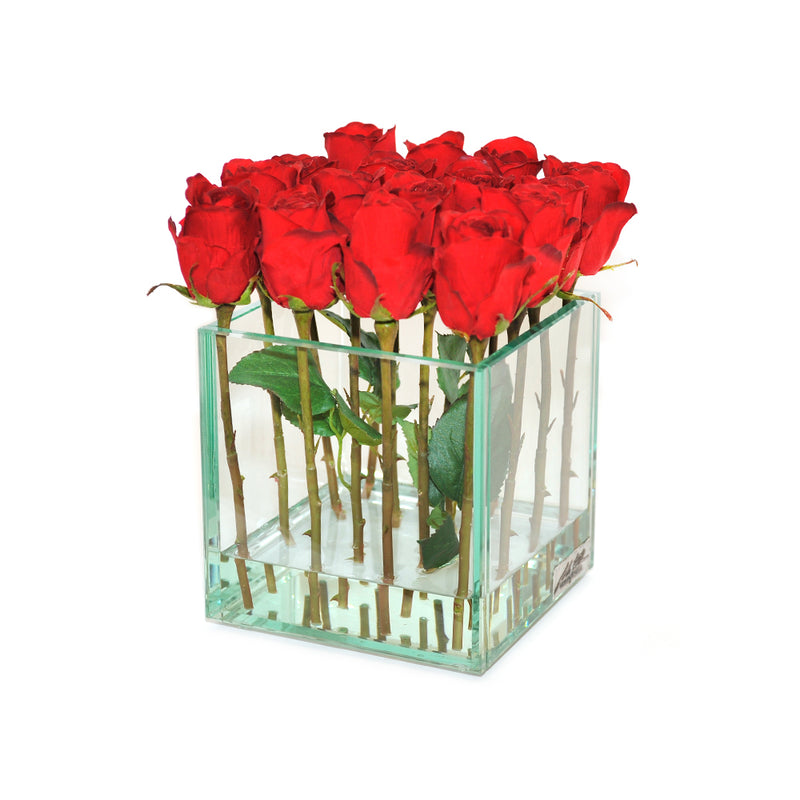 Red Roses in Glass Plate Cube. 2 sizes (4" & 6.5" Cube)