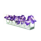 Purple Vanda in Glass Plate Vase • 3 sizes (12", 24" & 48"L)