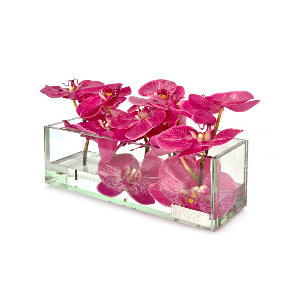 Fuchsia Phalaenopsis 12" Plate Glass Planter