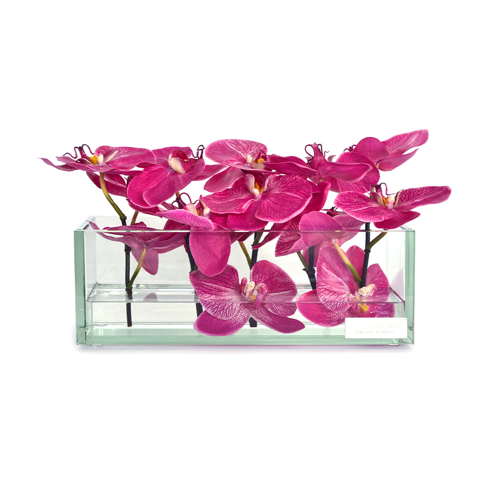 Fuchsia Phalaenopsis 12" Plate Glass Planter